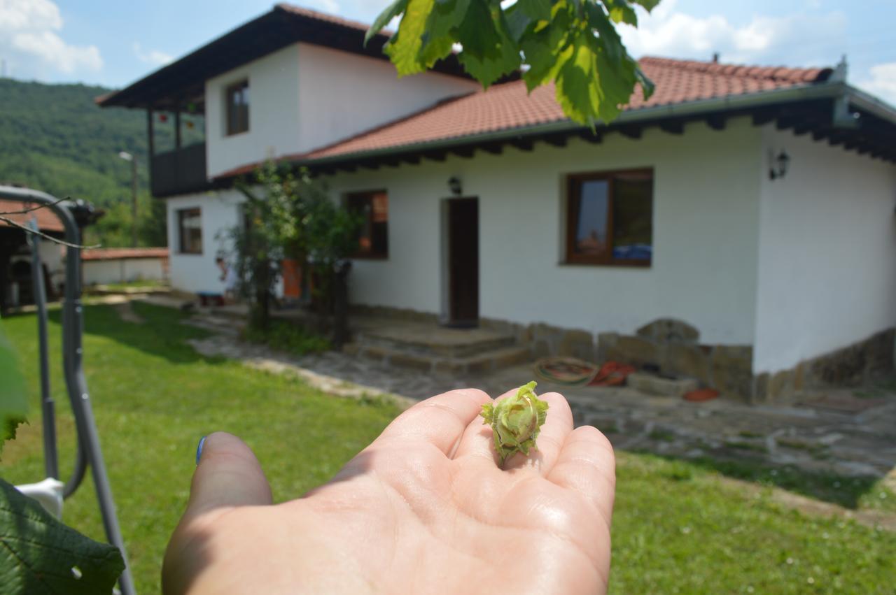 Guest House Yana Turkasheni ภายนอก รูปภาพ