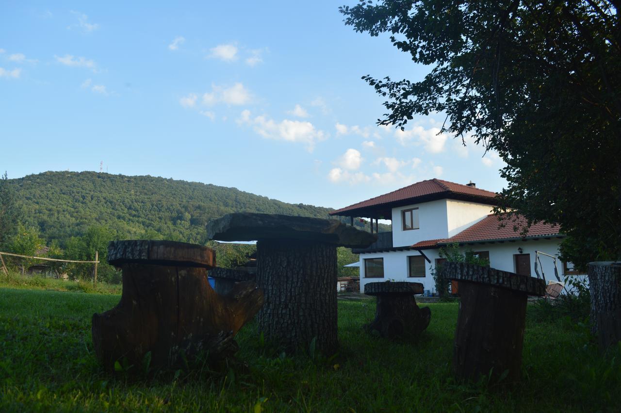Guest House Yana Turkasheni ภายนอก รูปภาพ