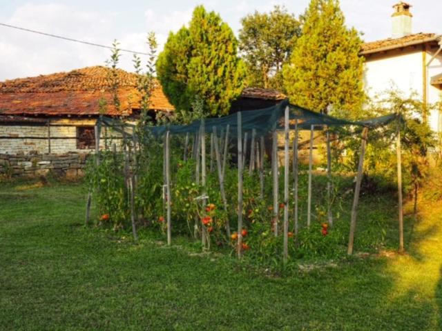 Guest House Yana Turkasheni ภายนอก รูปภาพ