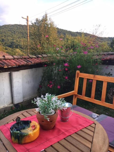Guest House Yana Turkasheni ภายนอก รูปภาพ