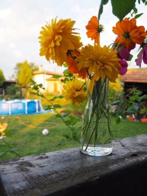 Guest House Yana Turkasheni ภายนอก รูปภาพ
